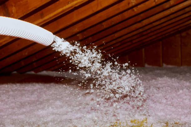 Best Specialized Insulation Services in Springerville, AZ