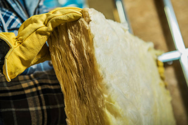 Best Energy Efficiency Insulation in Springerville, AZ