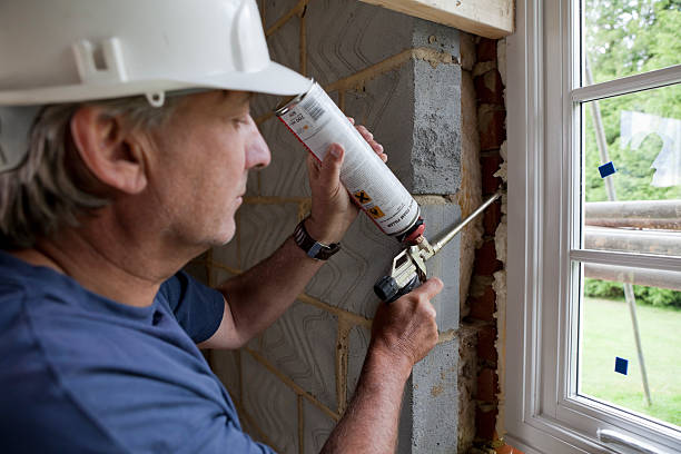 Best Geographic-Specific Insulation Services in Springerville, AZ