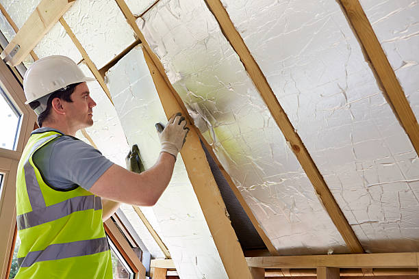 Best Residential Insulation in Springerville, AZ