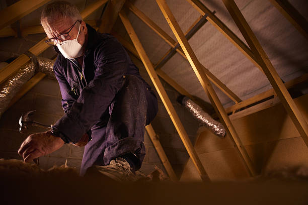 Types of Insulation We Offer in Springerville, AZ