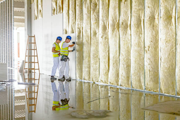 Best Eco-Friendly Insulation in Springerville, AZ